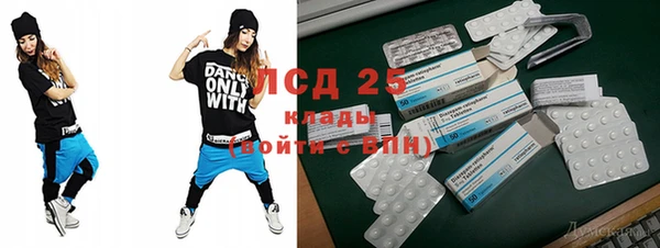стафф Ельня