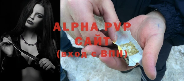 стафф Ельня