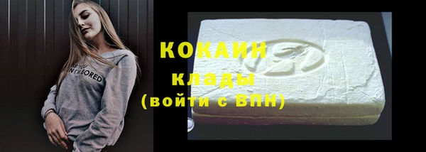 стафф Ельня
