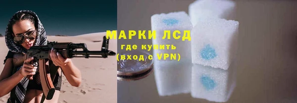 эйфоретик Елизово
