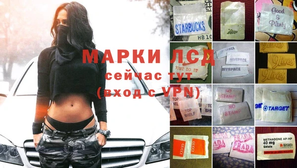 стафф Ельня