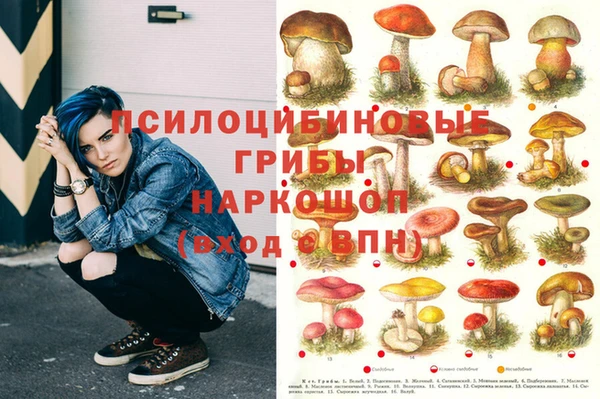 стафф Ельня