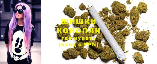 эйфоретик Елизово