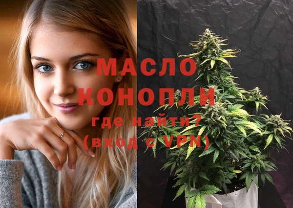 стафф Ельня