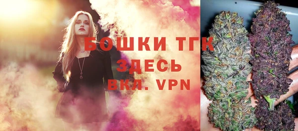 стафф Ельня