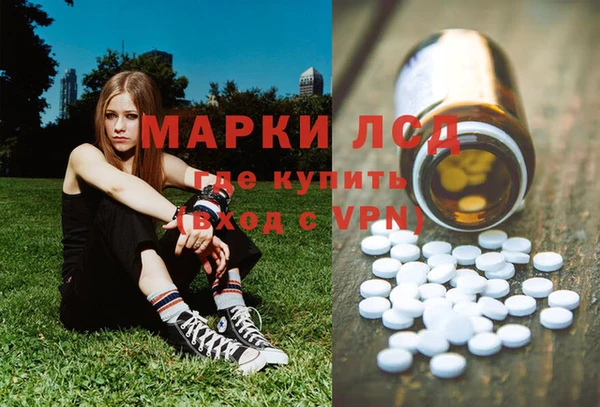 стафф Ельня