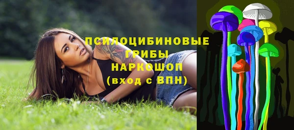 эйфоретик Елизово