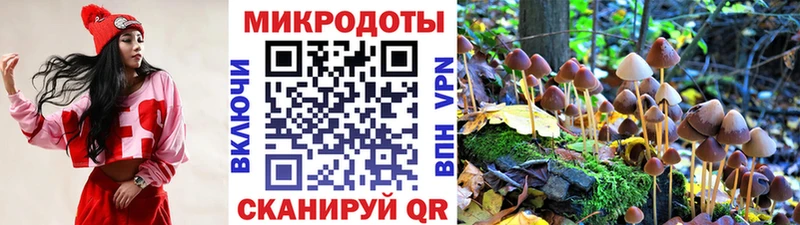 Псилоцибиновые грибы мицелий  Знаменск 